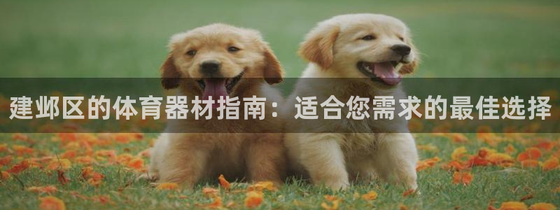 富联娱乐会员有什么用：建邺区的体育器材指南：适合您需