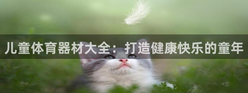 富联申购什么时候开盘：儿童体育器材大全：打造健康快乐
