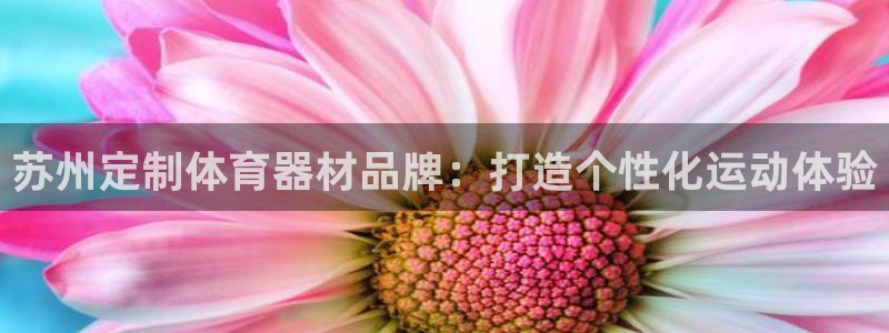 富联平台代理注册条件：苏州定制体育器材品牌：打造个性
