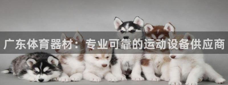 富联平台非7O777：广东体育器材：专业可靠的运动设备供应商