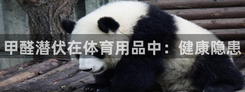 富联娱乐负责人电话：甲醛潜伏在体育用品中：健康隐患