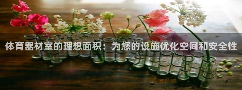 富联娱乐平台能挣到钱吗：体育器材室的理想面积：为您的