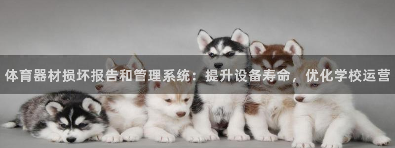 富联娱乐军7O777：体育器材损坏报告和管理系统：提