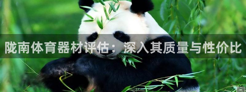 富联官方网站下载安装手机版：陇南体育器材评估：深入其
