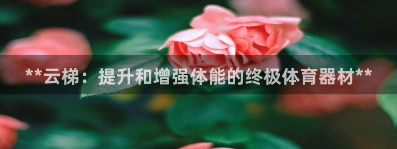 富联地产怎么样：**云梯：提升和增强体能的终极体育器