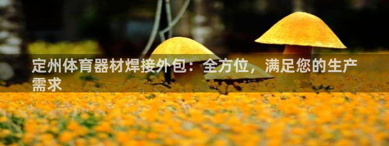 富联平台便7O777：定州体育器材焊接外包：全方位，满足您的