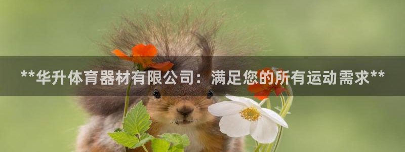 富联商城官网：**华升体育器材有限公司：满足您的所有运动需求