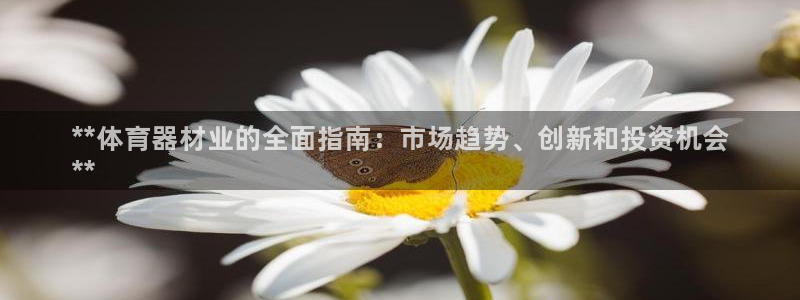富联平台登录网址查询：**体育器材业的全面指南：市场趋势、创