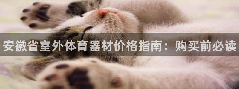 富联平台安装流程：安徽省室外体育器材价格指南：购买前