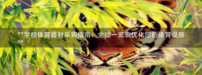 富联平台网站登录入口：**学校体育器材采购指南：全面
