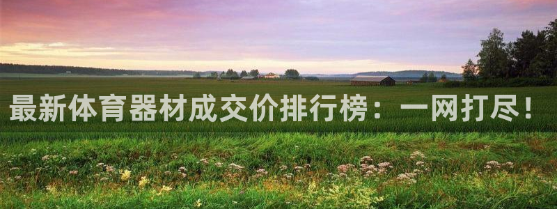 富联集团做什么的：最新体育器材成交价排行榜：一网打尽