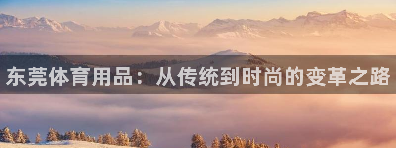 富联平台挂机怎么操作：东莞体育用品：从传统到时尚的变