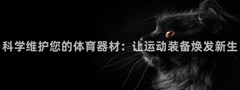 富联平台登录入口官网：科学维护您的体育器材：让运动装