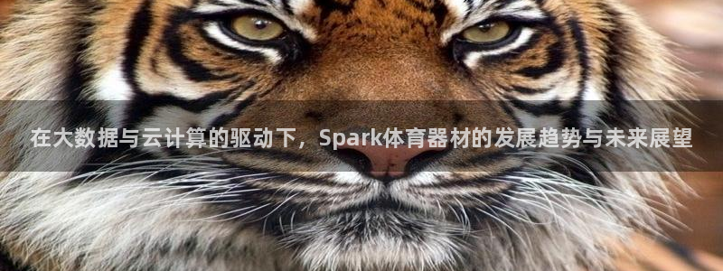 富联申购中签号：在大数据与云计算的驱动下，Spark