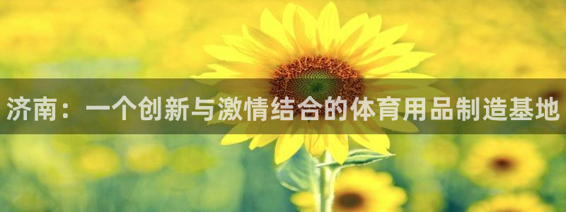 富联地产怎么样知乎：济南：一个创新与激情结合的体育用品制造基