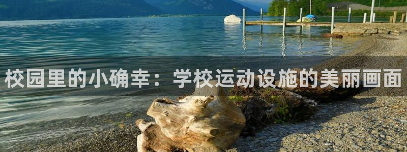 富联集团做什么的啊：校园里的小确幸：学校运动设施的美