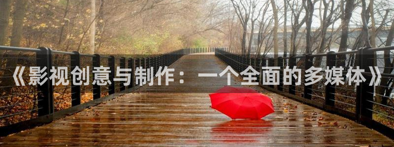 小小影视免费版：《影视创意与制作：一个全面的多媒体》
