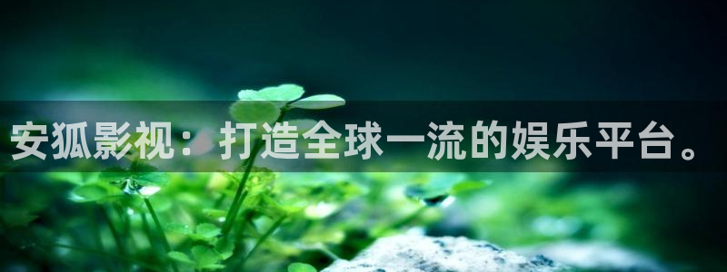 老九门小小影视：安狐影视：打造全球一流的娱乐平台。
