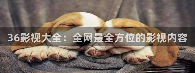 小小影视vip：36影视大全：全网最全方位的影视内容