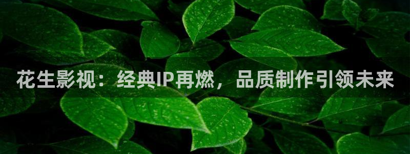 小小影院正版下载：花生影视：经典IP再燃，品质制作引领未来