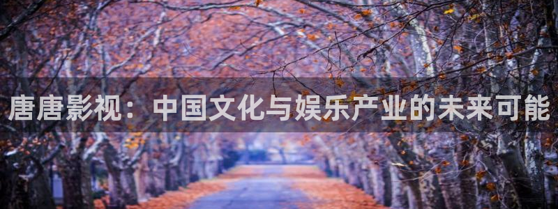小小影视免费在线：唐唐影视：中国文化与娱乐产业的未来可能