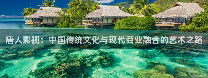 小小影视苹果：唐人影视：中国传统文化与现代商业融合的艺术之路