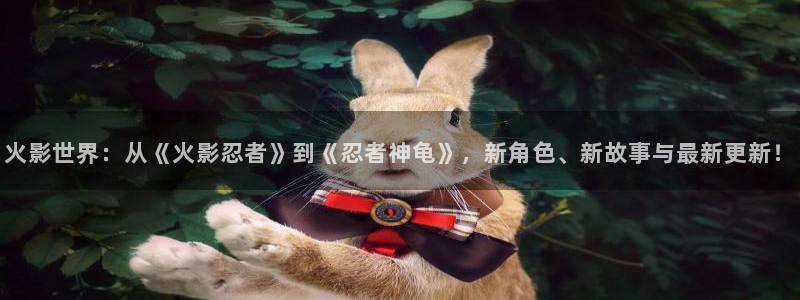 寻小小影像作品大全：火影世界：从《火影忍者》到《忍者神龟》，新角色、新故事与最新更新！