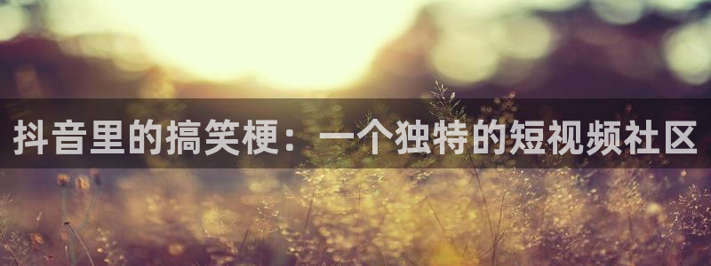 小小影视现在叫啥：抖音里的搞笑梗：一个独特的短视频社区