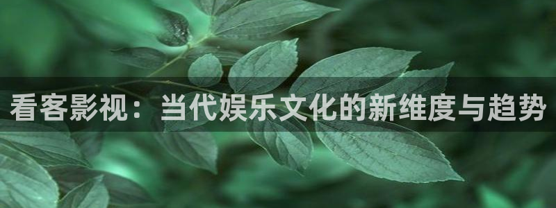 小小影视大全在线观看电视剧免费：看客影视：当代娱乐文化的新维度与趋势