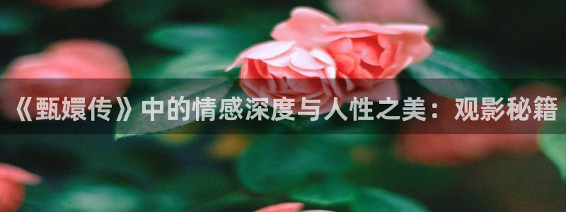 小小影视在线播放免费观看：《甄嬛传》中的情感深度与人性之美：观影秘籍
