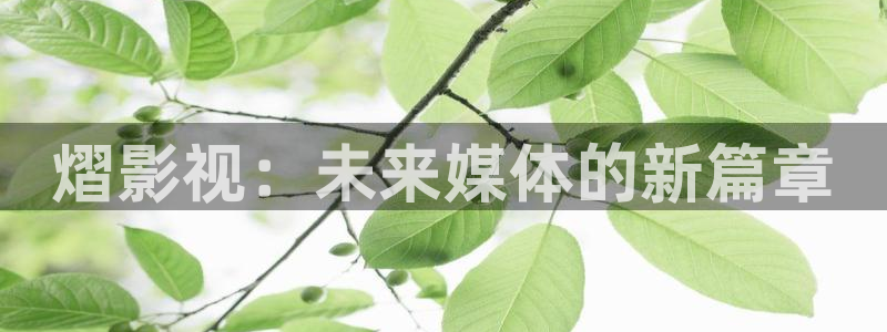 小小影视老版：熠影视：未来媒体的新篇章